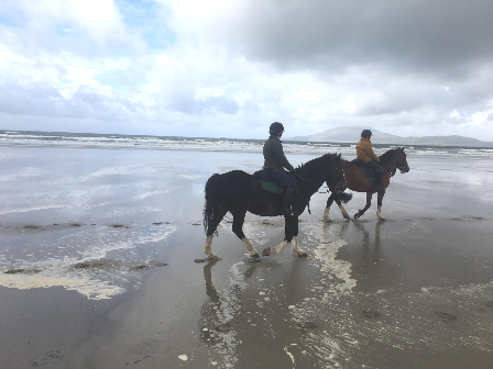 Clew Bay Coastal Trail Ride 